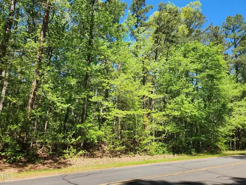 64 Forest River Dr, Moncure, NC 27559 photo 2