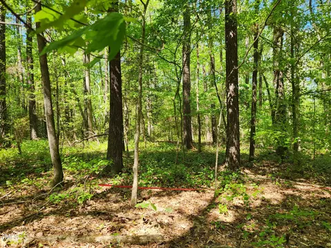 64 Forest River Dr, Moncure, NC 27559 photo 8