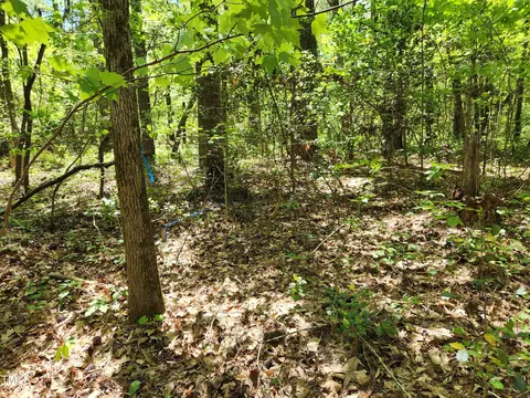 64 Forest River Dr, Moncure, NC 27559 photo 7