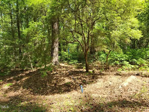 64 Forest River Dr, Moncure, NC 27559 photo 6
