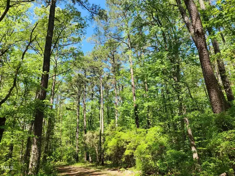 64 Forest River Dr, Moncure, NC 27559 photo 4