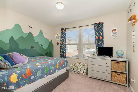 56 Pineapple Pl, Benson, NC 27504 photo 18
