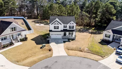 View/Area - 99 Bodacious Ln, Benson, NC 27504 photo 1 of 4