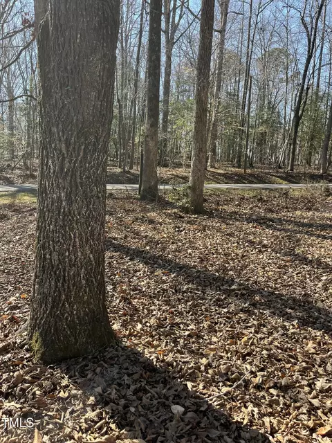 163 Omaha Dr, Spring Hope, NC 27882 photo 18