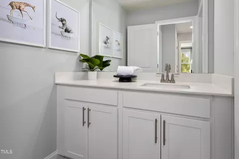 Bath - 79 Willow Cameron Way, Angier, NC 27501 photo 1 of 1