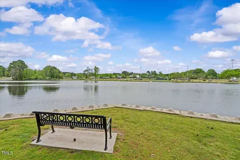 View/Area - 79 Willow Cameron Way, Angier, NC 27501 photo 2 of 2