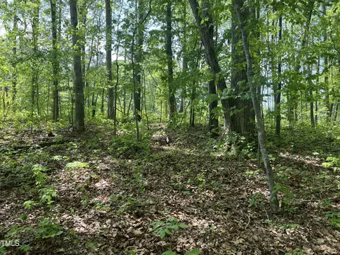 lot4 Loftis Loop, Roxboro, NC 27574 photo 8