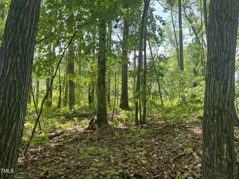 lot4 Loftis Loop, Roxboro, NC 27574 photo 9