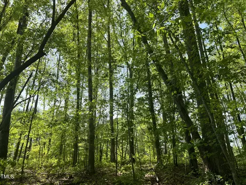 lot4 Loftis Loop, Roxboro, NC 27574 photo 3
