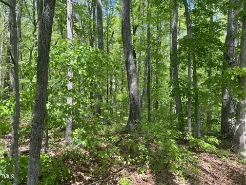 lot4 Loftis Loop, Roxboro, NC 27574 photo 10