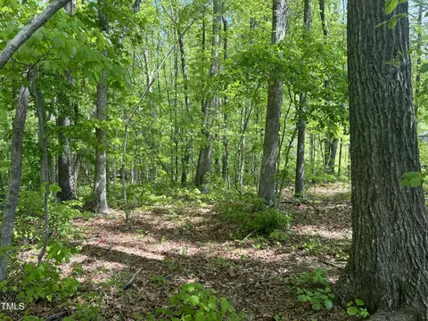 lot4 Loftis Loop, Roxboro, NC 27574 photo 4
