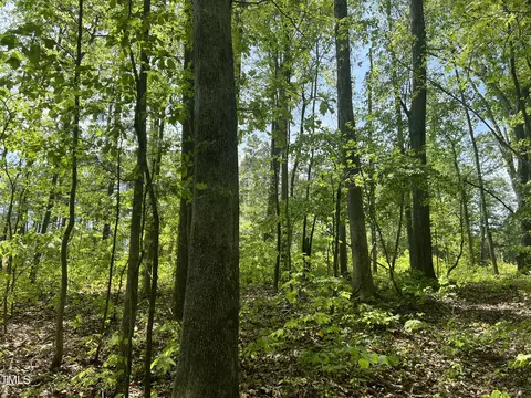 lot4 Loftis Loop, Roxboro, NC 27574 photo 5