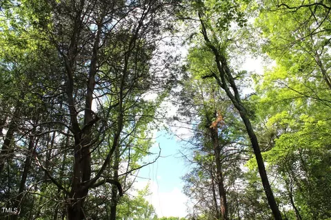 02 Longs Mill Rd, Blanch, NC 27212 photo 26
