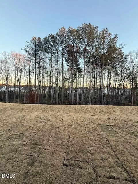 Exterior - 115 Sugar Pine Dr, Franklinton, NC 27525 photo 4 of 4