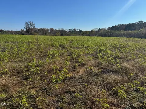 9485 Lot 4 N C 39 Hwy, Middlesex, NC 27557