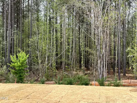 660 Sun Meadow Dr, Wake Forest, NC 27587 photo 9