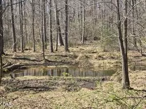 tbd Carr Store Rd, Cedar Grove, NC 27231 photo 7