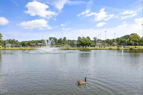 8729 Maxine St #LOT 38, Willow Spring, NC 27592 photo 43