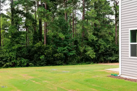 98 Tee Time Ter, Benson, NC 27504 photo 18