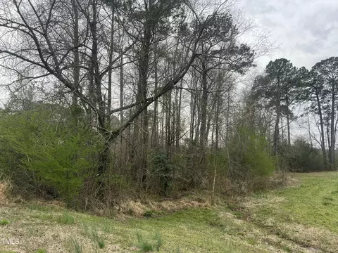 0 Trouble Rd, Willow Springs, NC 27592 photo 2