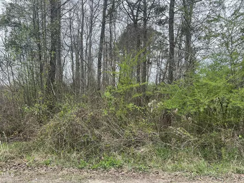 0 Trouble Rd, Willow Springs, NC 27592 photo 3