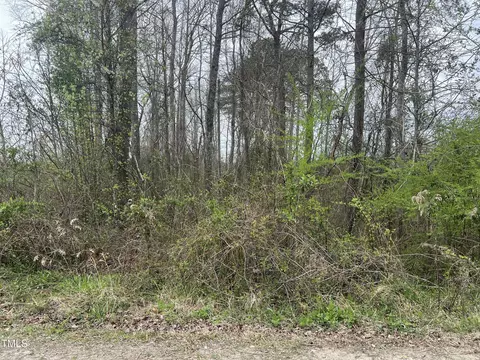 0 Trouble Rd, Willow Springs, NC 27592 photo 4