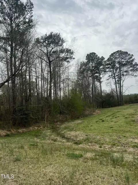 0 Trouble Rd, Willow Springs, NC 27592