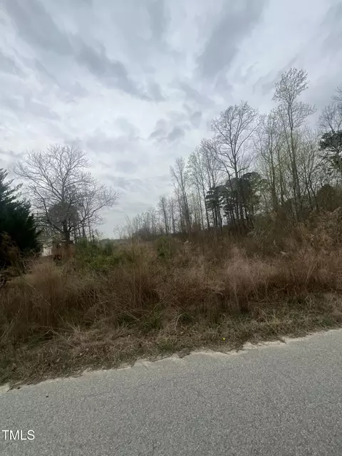 0 Trouble Rd, Willow Springs, NC 27592 photo 7