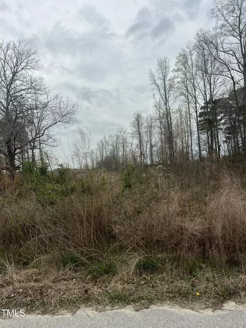 0 Trouble Rd, Willow Springs, NC 27592 photo 6