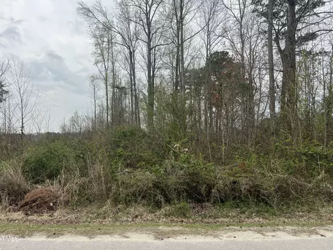 0 Trouble Rd, Willow Springs, NC 27592 photo 5