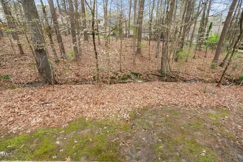 Exterior - 107 Boldleaf Ct, Cary, NC 27513 photo 9 of 13