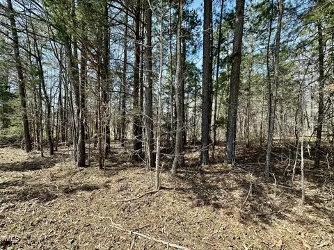 4 90 Acres Julian Oakley Rd, Rougemont, NC 27572
