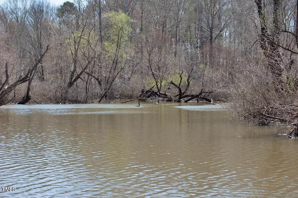  0 Tilley Rd, Bullock, NC 27507 photo 39