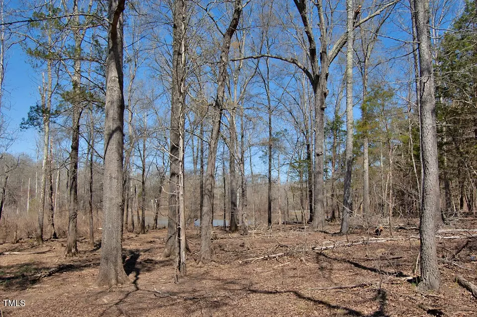  0 Tilley Rd, Bullock, NC 27507 photo 38