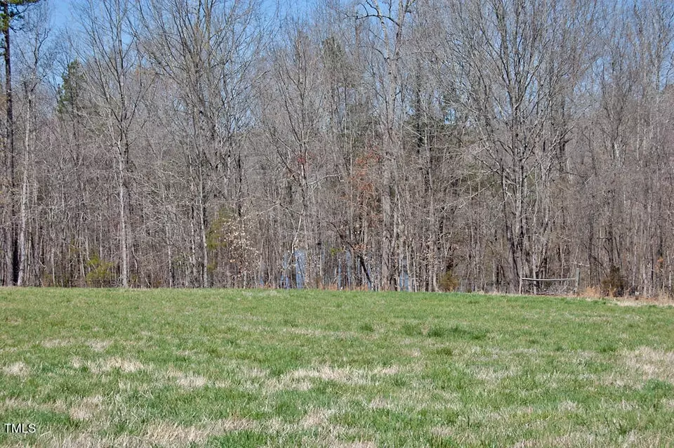  0 Tilley Rd, Bullock, NC 27507 photo 19