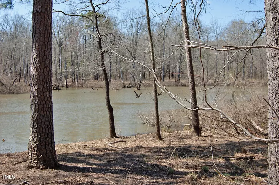  0 Tilley Rd, Bullock, NC 27507 photo 40