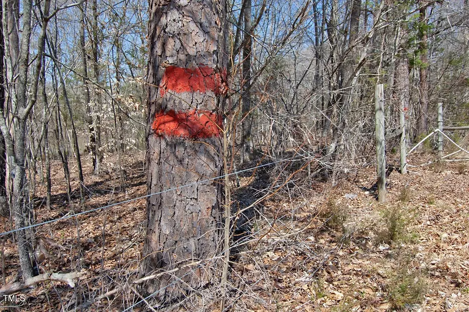  0 Tilley Rd, Bullock, NC 27507 photo 41