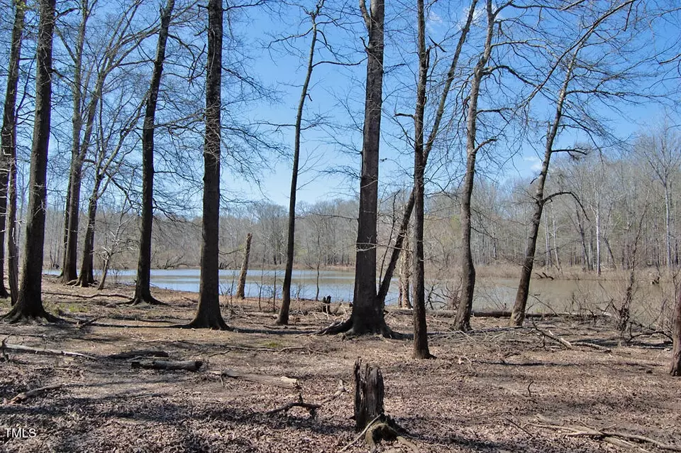  0 Tilley Rd, Bullock, NC 27507 photo 25