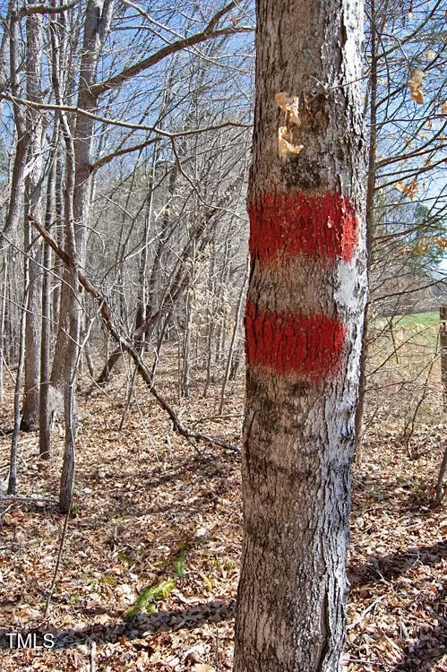  0 Tilley Rd, Bullock, NC 27507 photo 23