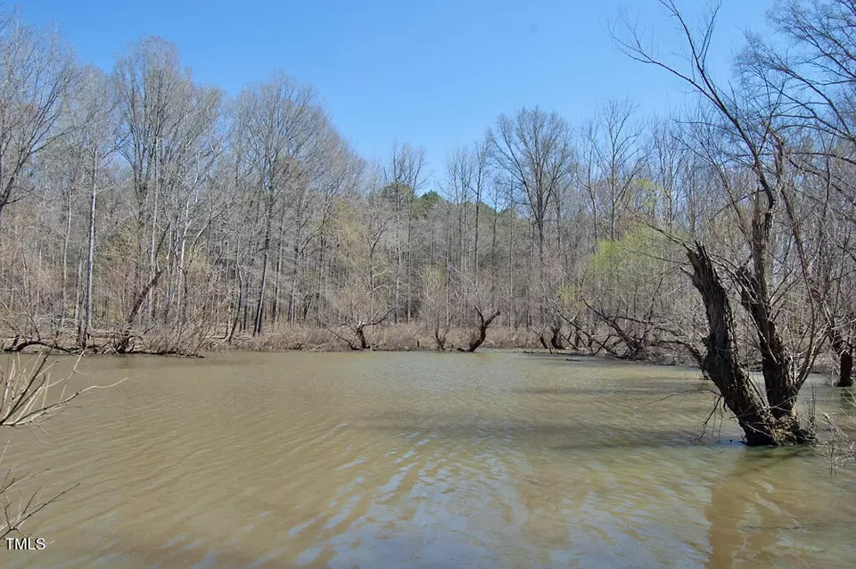  0 Tilley Rd, Bullock, NC 27507 photo 18