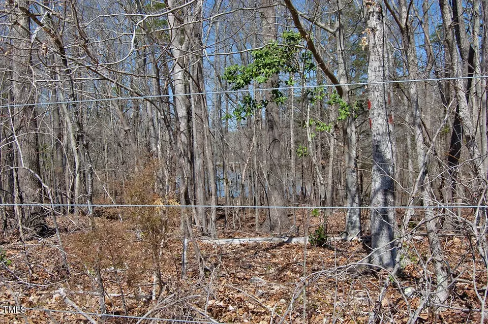  0 Tilley Rd, Bullock, NC 27507 photo 29