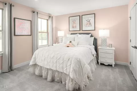 557 Freedom Trail Dr, Willow Spring, NC 27592 photo 19