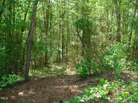 136 Scramble Rd, Erwin, NC 28339 photo 23