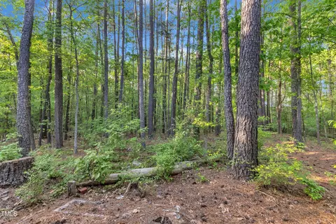 924 Lynn Rd, Durham, NC 27703 photo 33