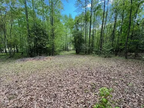 lot2 E Bent Tree Ln, Manson, NC 27553 photo 8