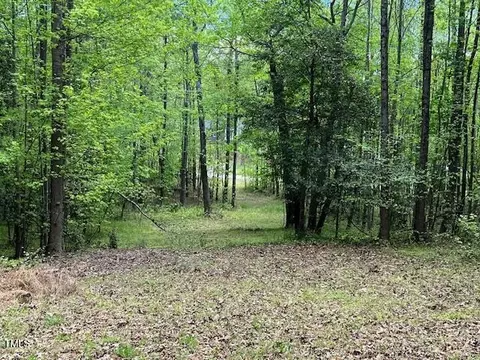 lot2 E Bent Tree Ln, Manson, NC 27553 photo 9