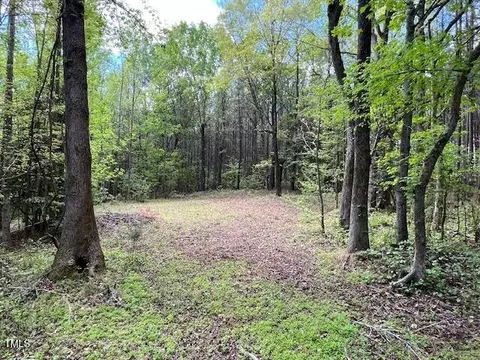 lot2 E Bent Tree Ln, Manson, NC 27553 photo 7