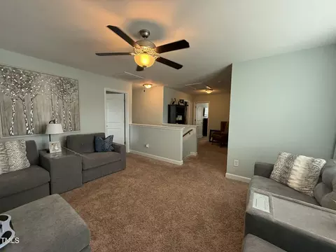 116 Polenta Fields Dr, Smithfield, NC 27577 photo 69