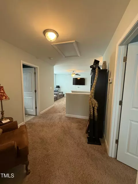 116 Polenta Fields Dr, Smithfield, NC 27577 photo 74