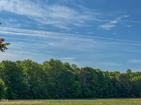 13 96 Acre Bunny Rd, Rougemont, NC 27572